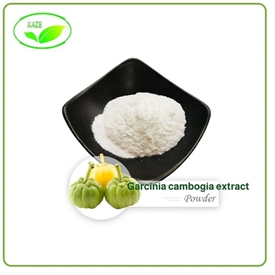 Pure Garcinia Cambogia Extract